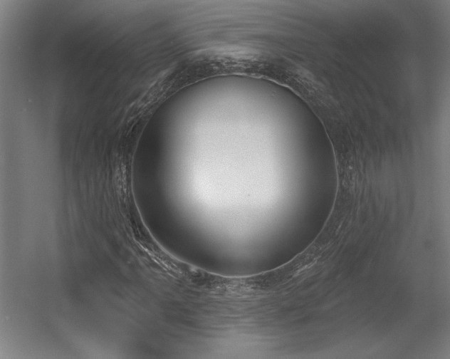 X0000056011061200508191255