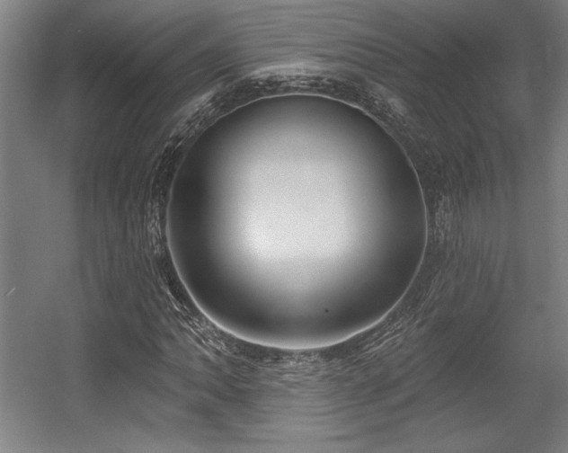 X0000056011062200508191255