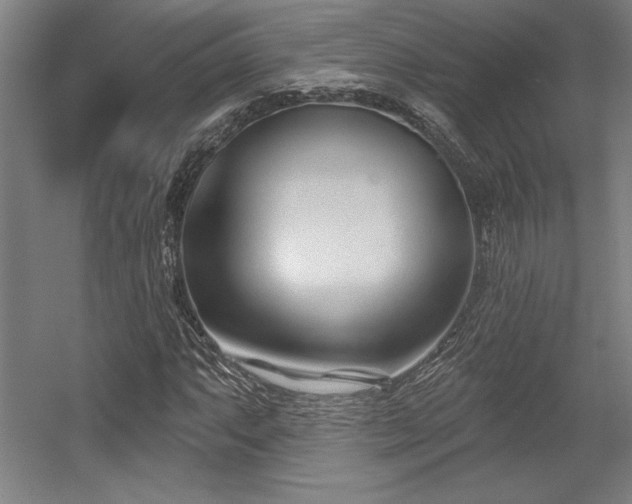 X0000056011063200508191255