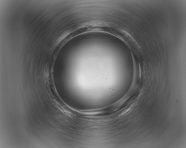 X0000056011065200508191255