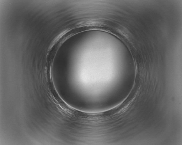 X0000056011066200508191255