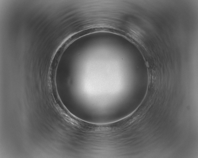 X0000056011068200508191255