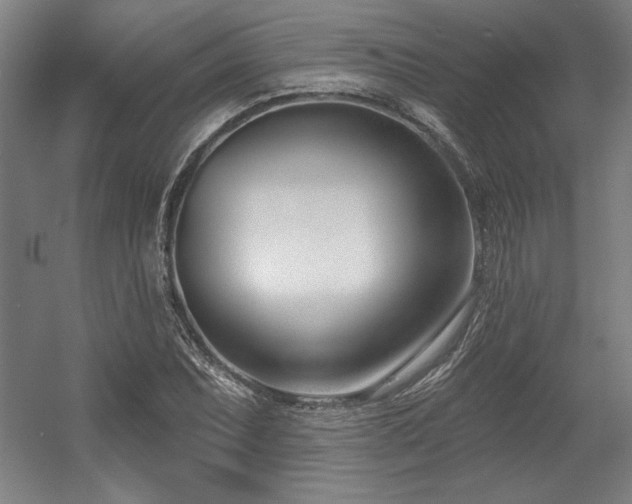 X0000056011071200508191255