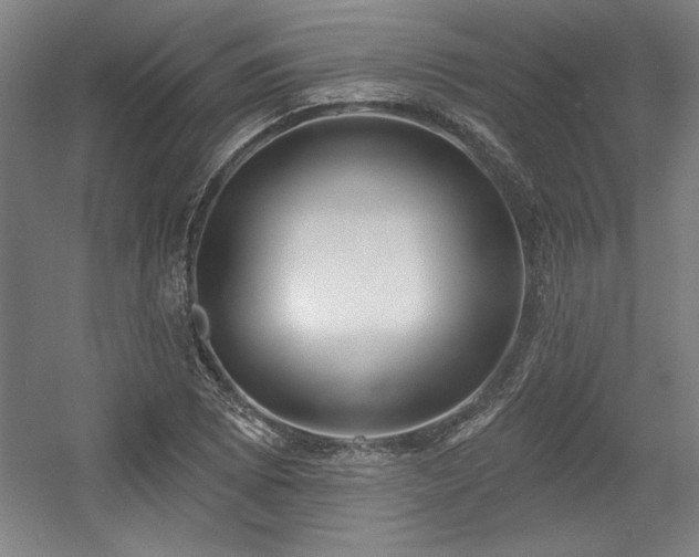 X0000056011073200508191255