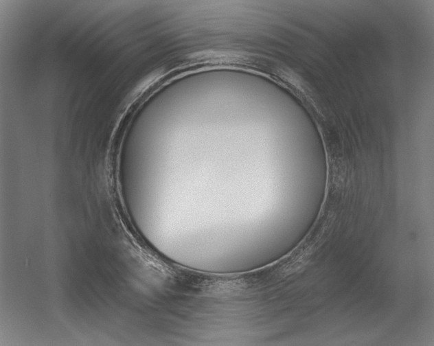X0000056011074200508191255