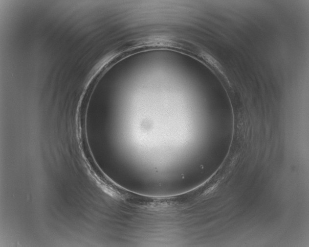 X0000056011082200508191255