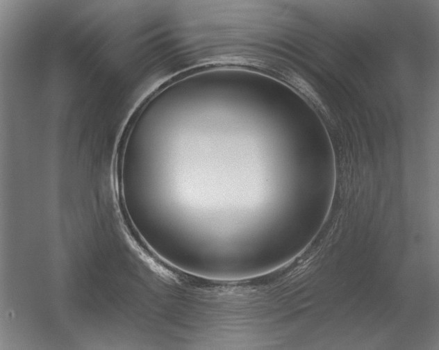 X0000056011084200508191255