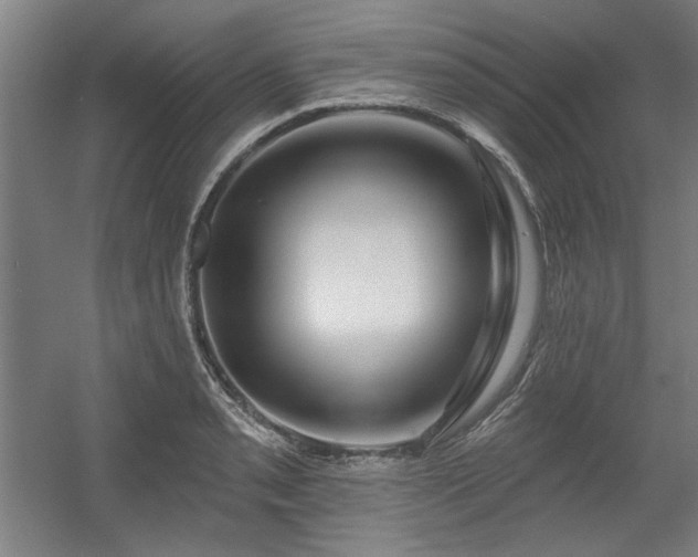 X0000056011085200508191255