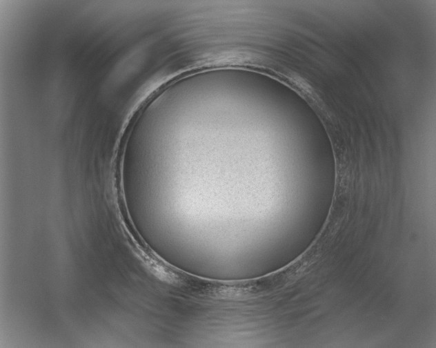 X0000056011086200508191255