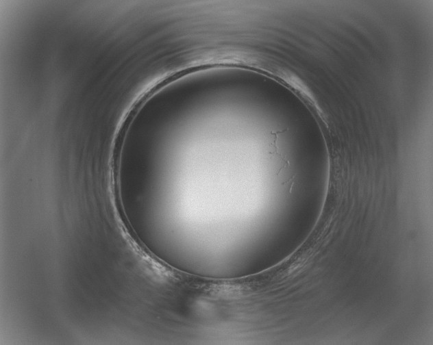 X0000056011088200508191255