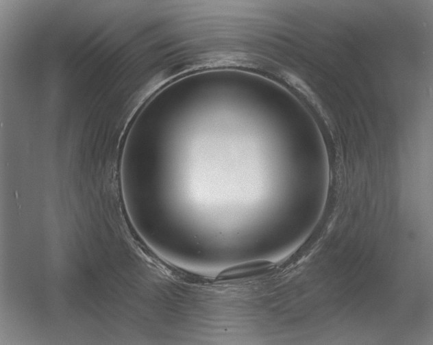 X0000056011089200508191255