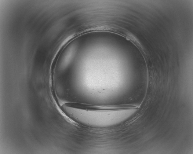 X0000056011095200508191255