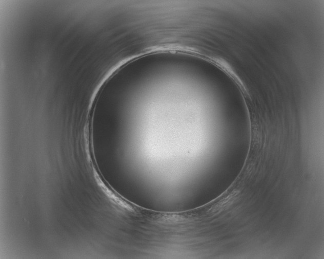 X0000056011100200508191255