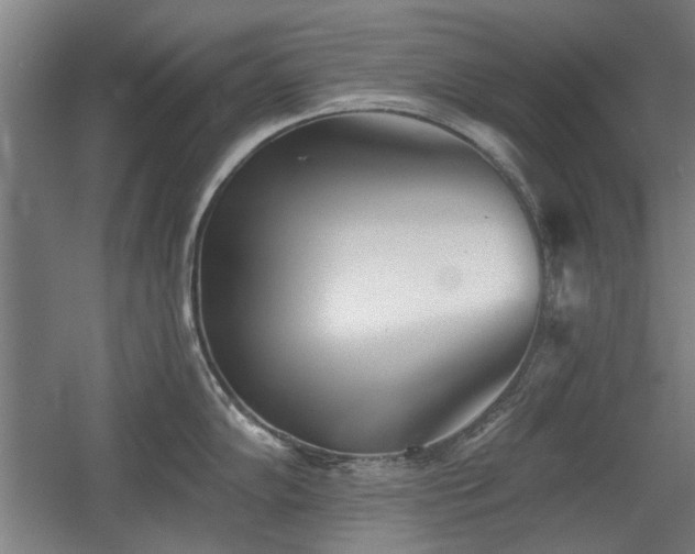 X0000056011102200508191254