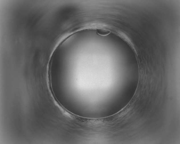 X0000056011103200508191254