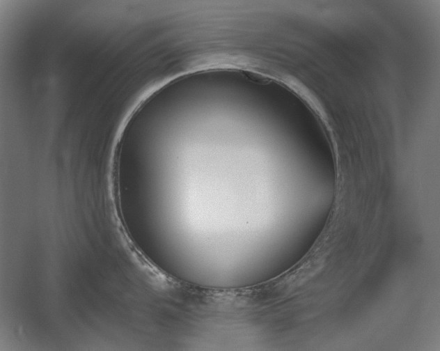 X0000056011104200508191254