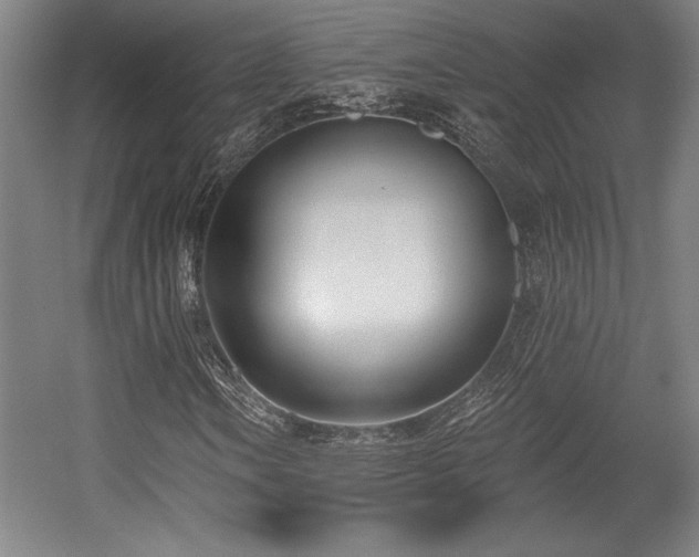 X0000056011106200508191254