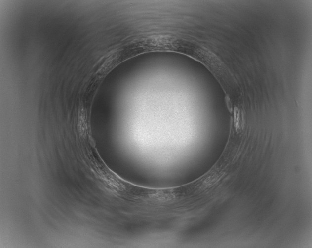 X0000056011107200508191254