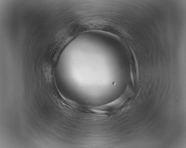 X0000056011108200508191254