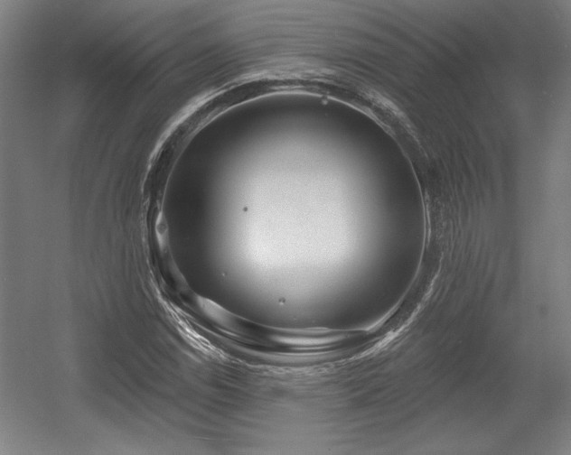 X0000056011114200508191254