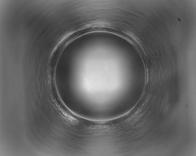 X0000056011115200508191254