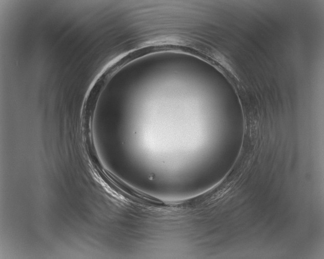 X0000056011116200508191254