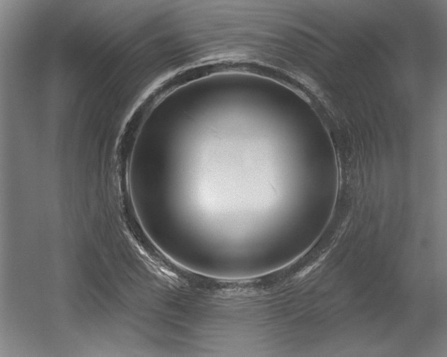 X0000056011118200508191254
