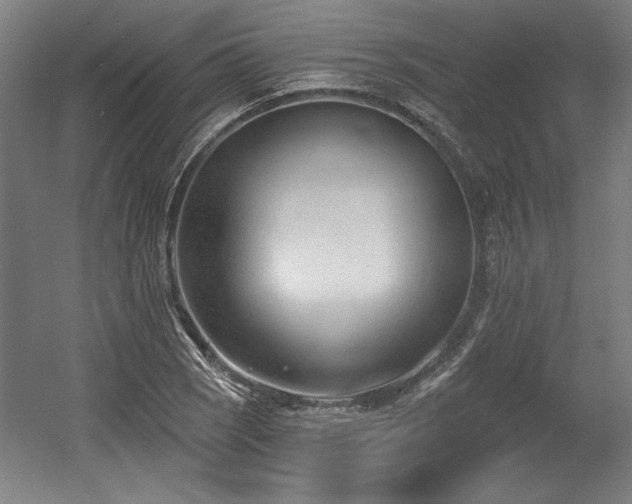 X0000056011121200508191254