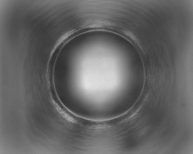 X0000056011122200508191254