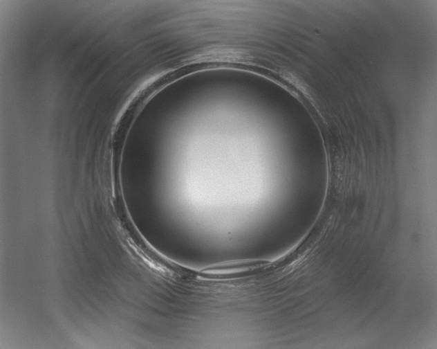 X0000056011123200508191254