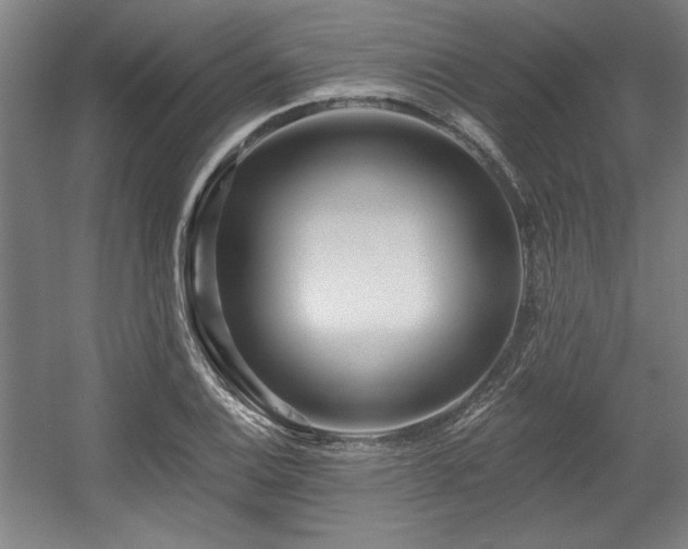 X0000056011124200508191254