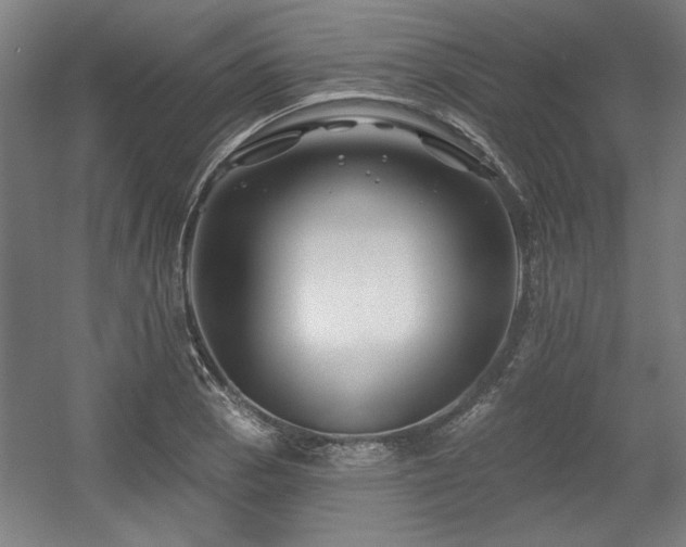 X0000056011129200508191254