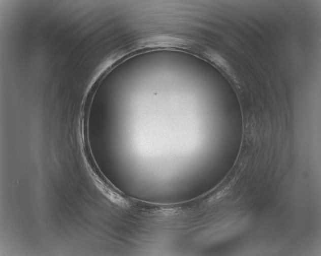 X0000056011130200508191254