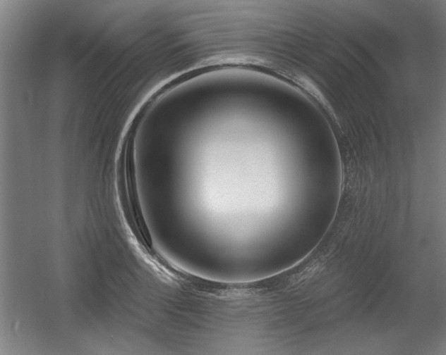 X0000056011132200508191254