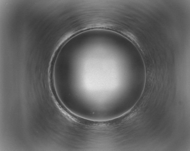 X0000056011135200508191254