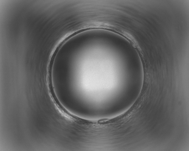 X0000056011136200508191254