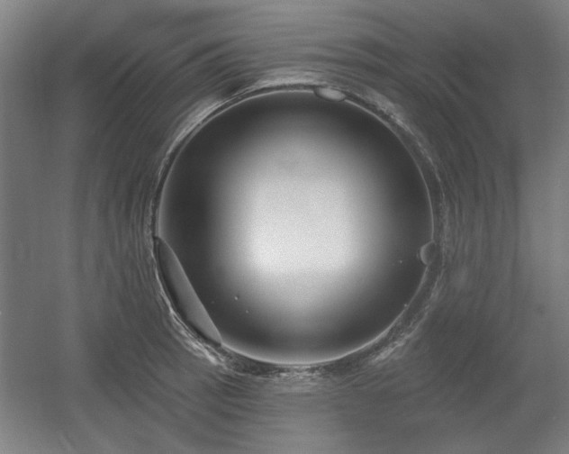 X0000056011137200508191254