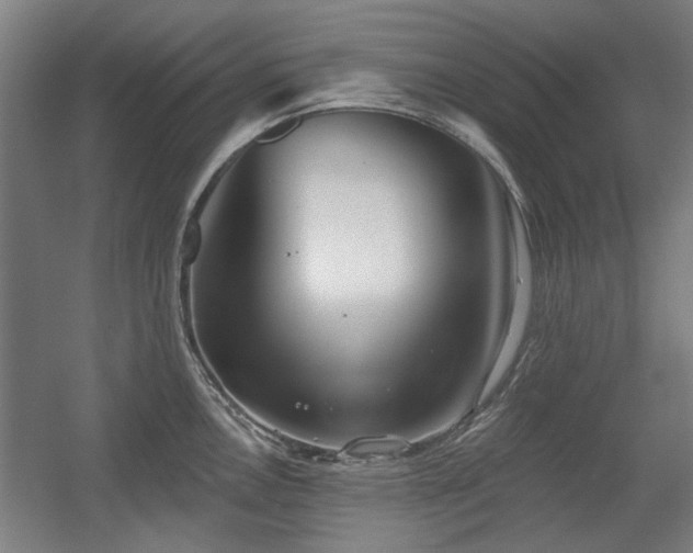 X0000056011146200508191254
