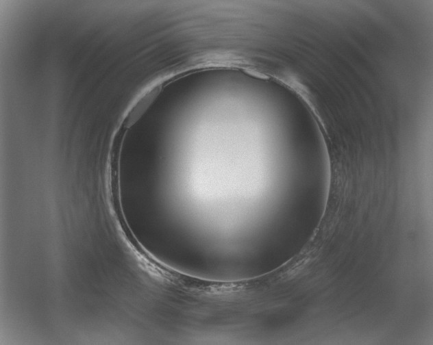 X0000056011147200508191254