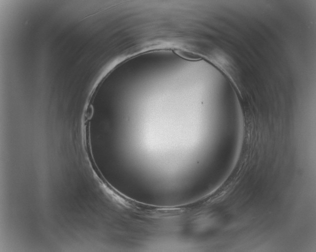 X0000056011151200508191254