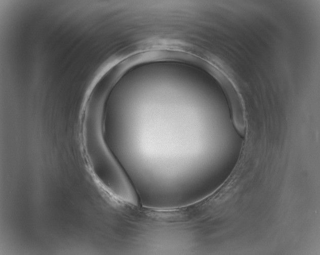 X0000056011152200508191254