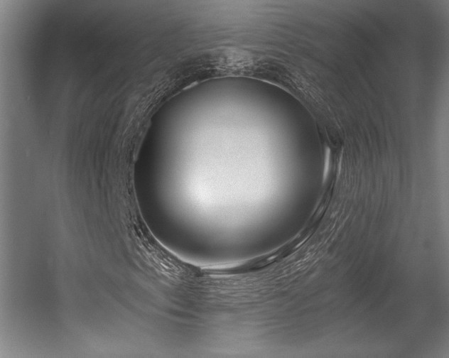 X0000056011153200508191254