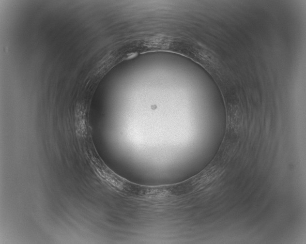 X0000056011154200508191254