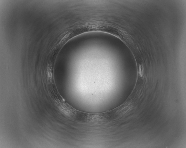 X0000056011155200508191254