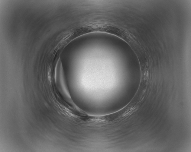 X0000056011156200508191254