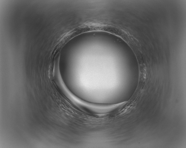 X0000056011157200508191254