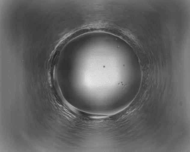 X0000056011160200508191253