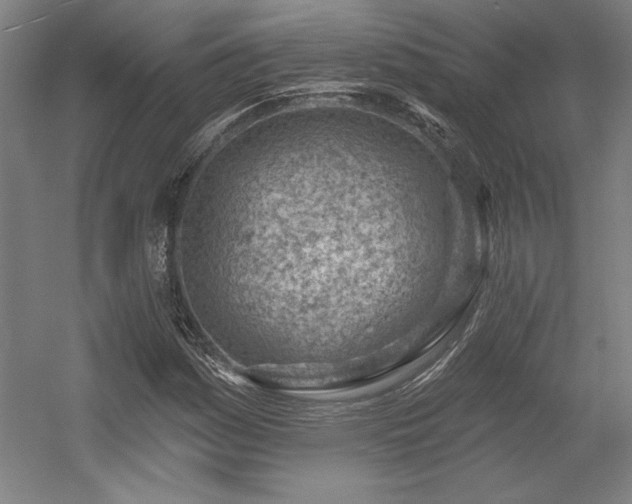 X0000056011161200508191253