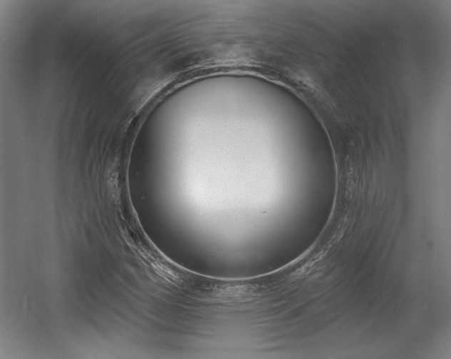 X0000056011162200508191253