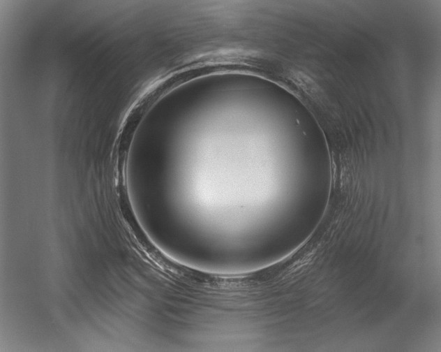 X0000056011164200508191253